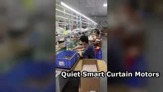 Behind the Scenes at the Factory